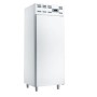 Armoire congelation, statique, (500 Lit.) DIVERSO