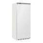 Armoire congélateur GN 2/1, statique, 600 Lit DIVERSO