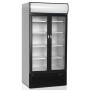 Refroidisseur de présentation 524L TEFCOLD