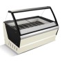 Vitrine à glace HAWAI 16x5LTR COMBISTEEL