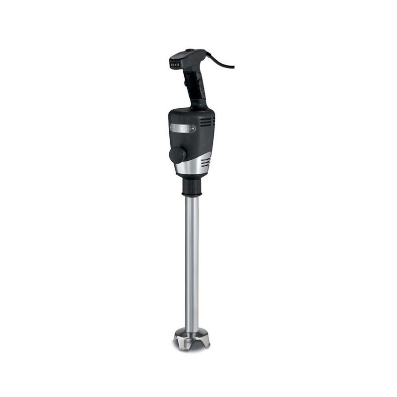 Mixeur BIG STIX (WSB65E) WARING COMMERCIAL