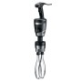 Mixeur BIG STIX (WSBPPWE) WARING COMMERCIAL